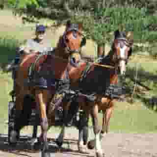 Fattoria Ca' di Fatino, 4 of 5