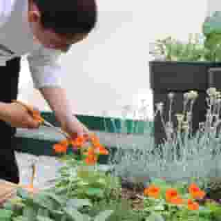 Sofitel Paris Le Faubourg, 4 of 5