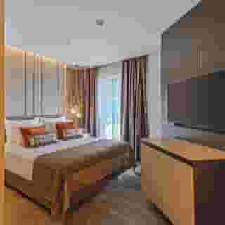 Calyptus Kirman Premium, 5 of 5