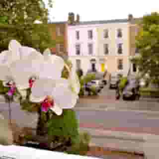 Waterloo Lodge, 5 of 5