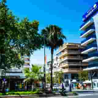 Monarque El Rodeo, 5 of 5