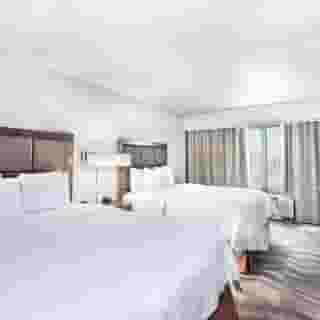 Hampton Inn & Suites Atlanta-Galleria, 6 of 6