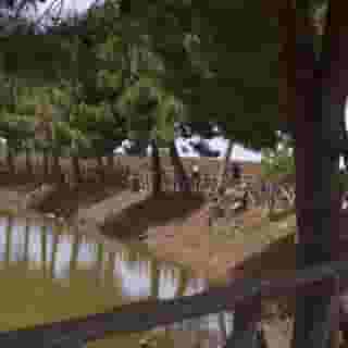 Popilia Country Resort, 6 of 6