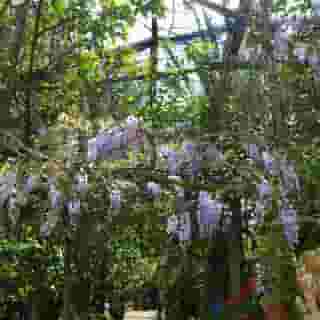 Sorrento Experience, 2 of 5