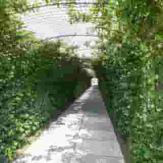 Grand Hotel Da Vinci, 5 of 5