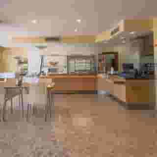 Amazonia Palmela, 3 of 5