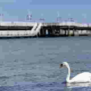 Villa Sedan - Destigo Hotels, 2 of 5