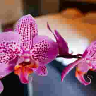 Hotel De Normandie, 3 of 5