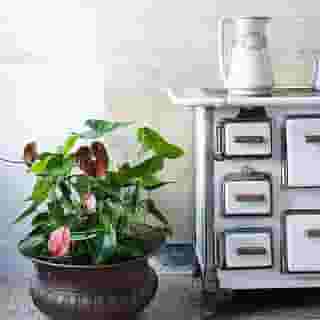 Casa Martini, 1 of 5