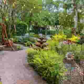 Marriott'S Royal Palms, 5 of 5