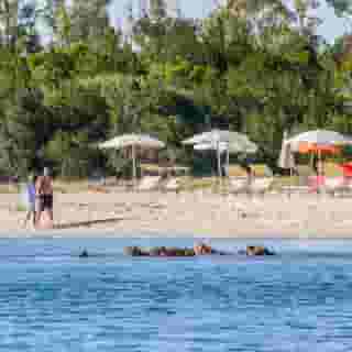 Grande Baia Resort Hotel, 3 of 5