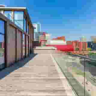 Room Mate Bruno, 1 of 5