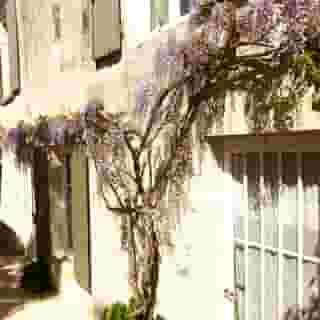 La Maison Douce, 4 of 5