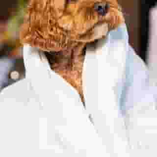 Sofitel Philadelphia at Rittenhouse Square, 5 of 5