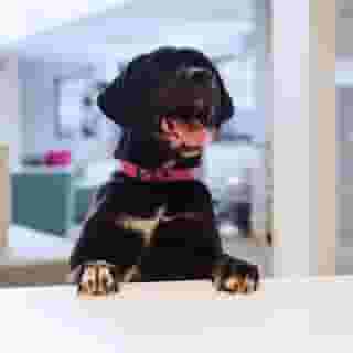 Residence Inn Philadelphia Glen Mills/Concordville, 5 of 5