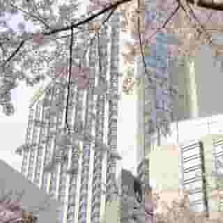 Grand Hyatt Tokyo, 3 of 5