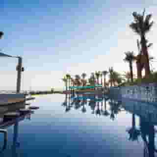 JA Palm Tree Court, 3 of 5