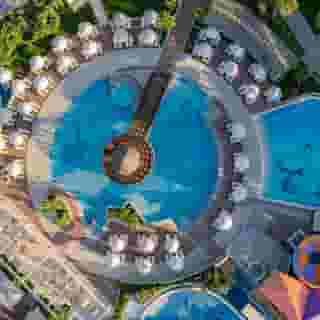 Papillon Belvil, 4 of 5