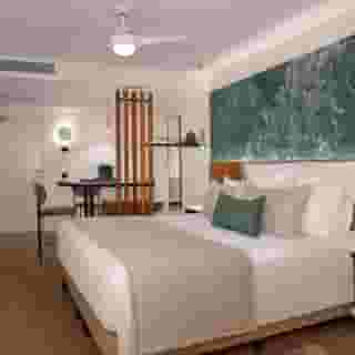 Dreams Flora Resort & Spa, 3 of 5