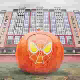 Disney's Hotel New York, 2 of 5