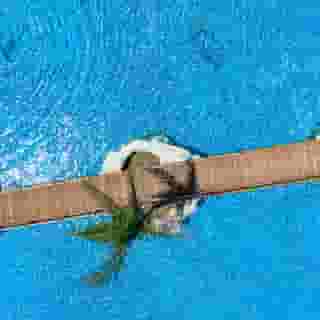 Seafos Luxury Resort & Spa - Limited Edition by Leonardo Hotels, 5 of 5