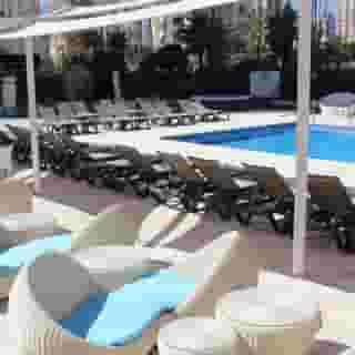 Flamingo Beach Resort - Adults Recommended, 6 of 6