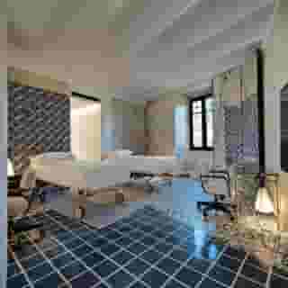 Rhinoceros Roma, 5 of 5