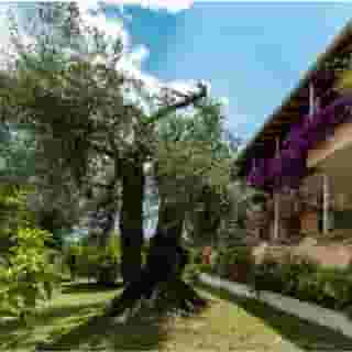 Marilena Studios, 4 of 5