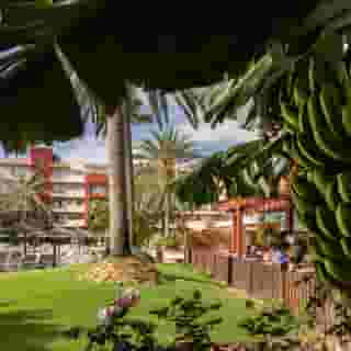 Elba Carlota Beach Hotel, 4 of 5