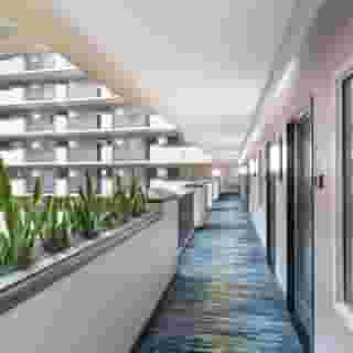 Embassy Suites Orlando - Airport, 1 of 5