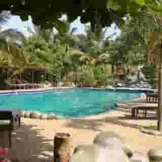 Primo Bom Terra Verde, 3 of 5