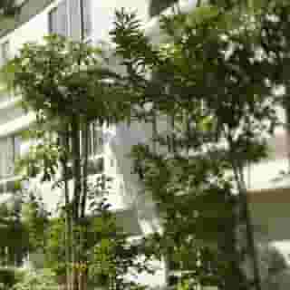 Amara Sanctuary Rsrt Sentosa, 1 of 5