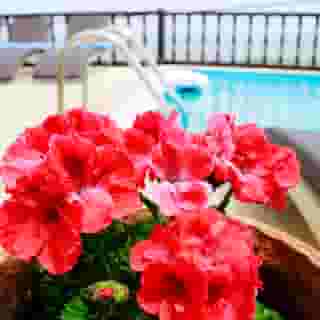 Amerisa Suites, 1 of 5