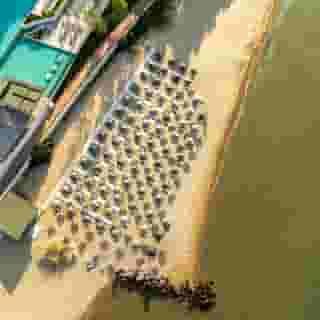 Secrets Sunny Beach Resort & Spa - Adults Only, 3 of 5