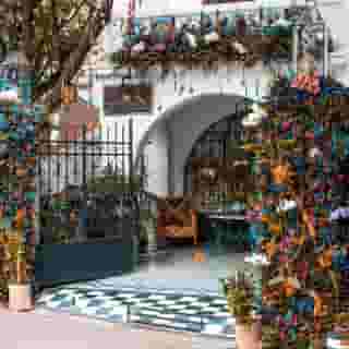 Orchid House Polanco, 2 of 5