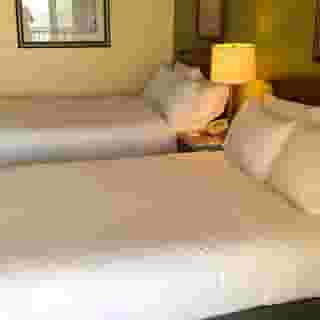 Holiday Inn Hotel & Suites Clearwater Beach, 4 of 5