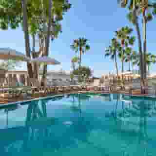 Alua Boccaccio, 1 of 5