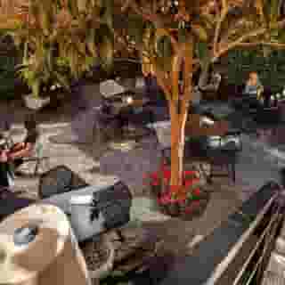 Olivia Plaza Hotel, 2 of 5