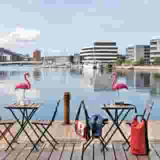 Moxy Bergen, 6 of 6
