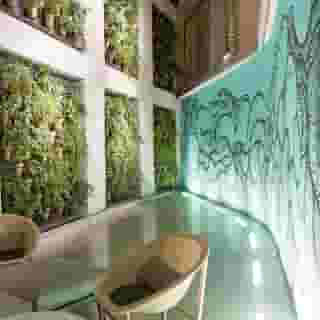 Rec Barcelona-Only Adults, 3 of 5