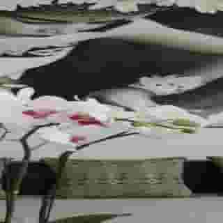 Villa Chocolat, 4 of 5