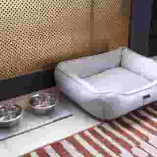 Hotel Vesper, Houston, a Tribute Portfolio Hotel, 1 of 5