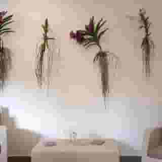 Hotel Riva del Sole, 5 of 5