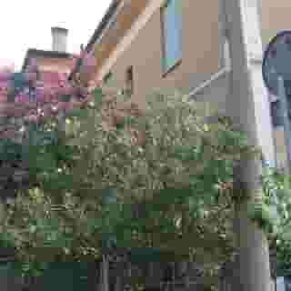 B&B Accorsi, 4 of 5
