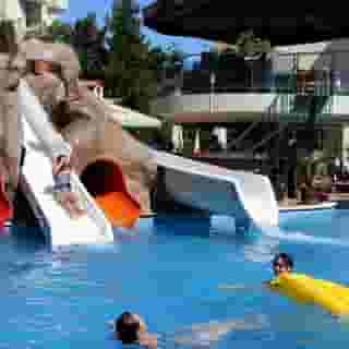 Sunny Day Club, 3 of 5