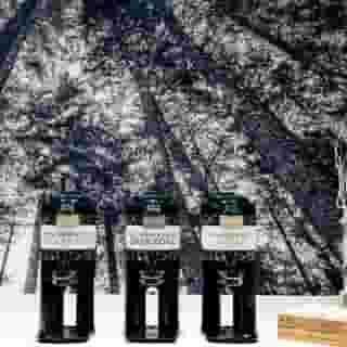 Staybridge Suites Seattle Downtown - Lake Union, 5 of 5