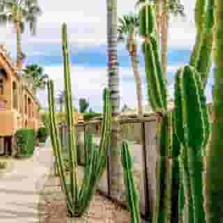 Holiday Inn Club Vacations Scottsdale Resort, 3 of 5