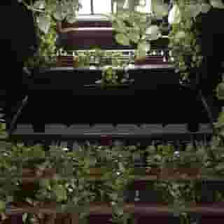 Oasis Backpackers Hostel Granada, 5 of 5