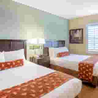 staySky Suites I-Drive Orlando, 3 of 5
