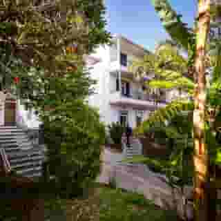 Flame Tree Madeira, 5 of 5